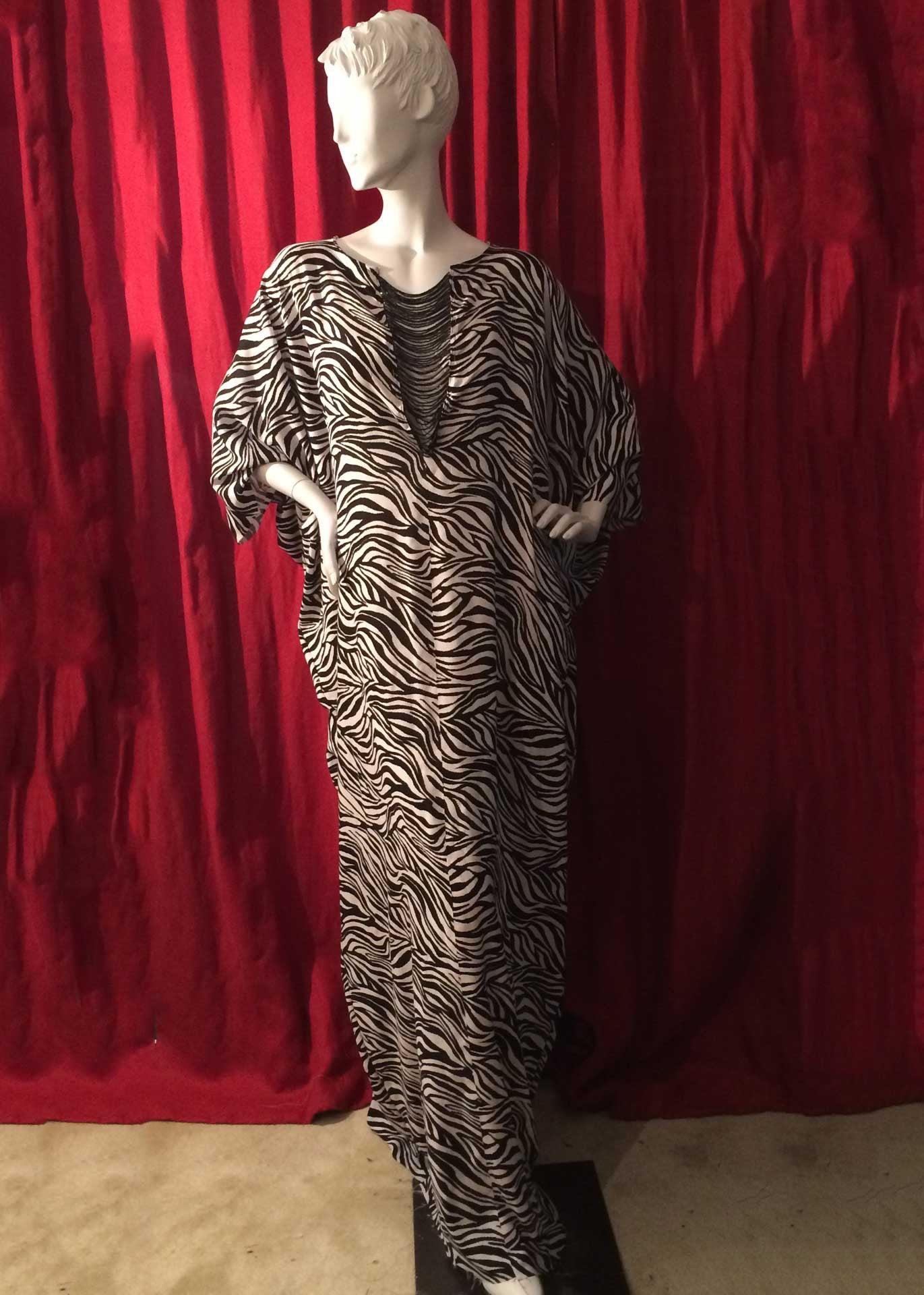 Pretty Zebra