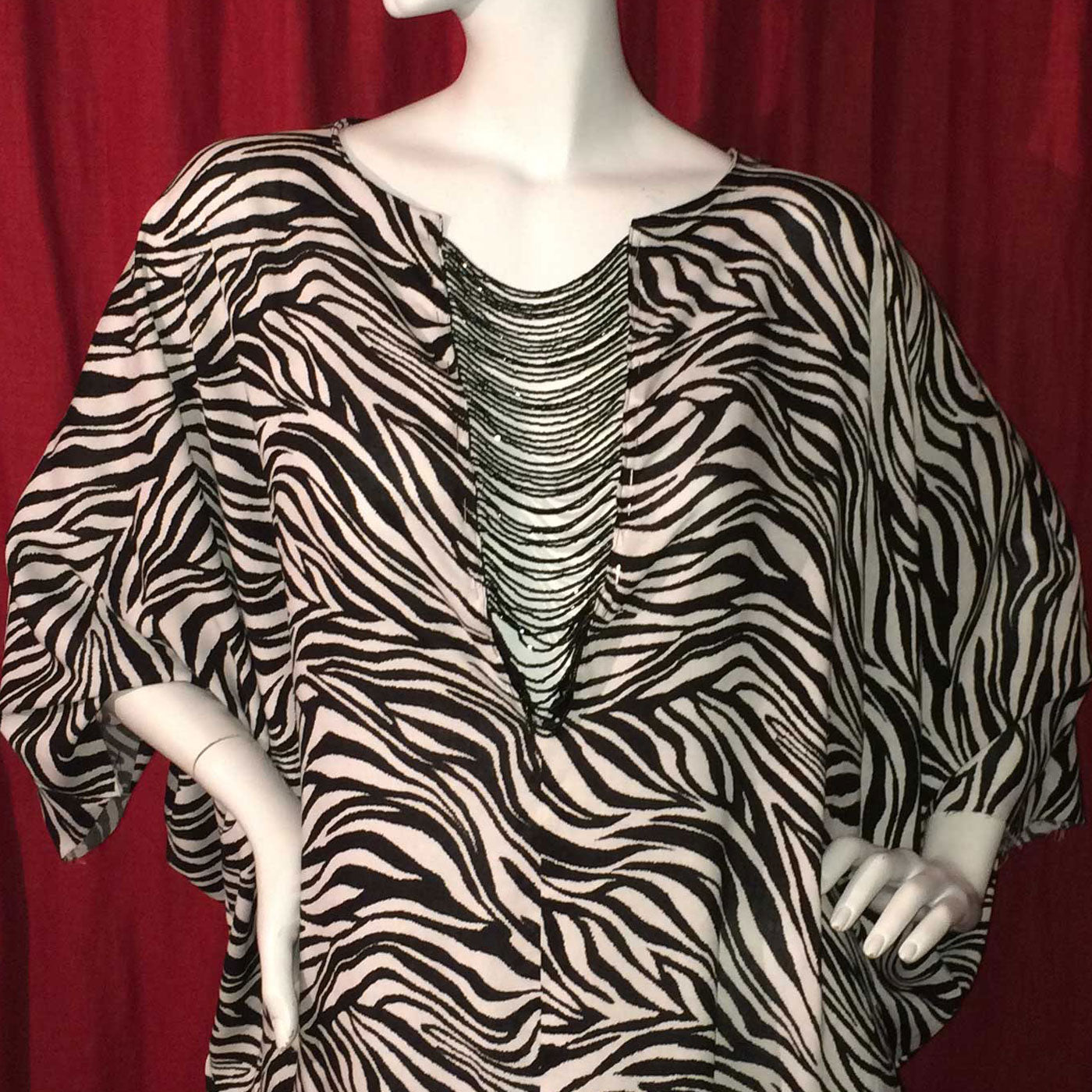 Pretty Zebra